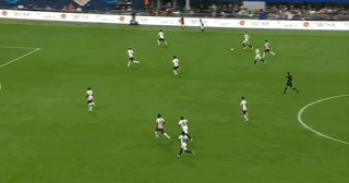 5.gif